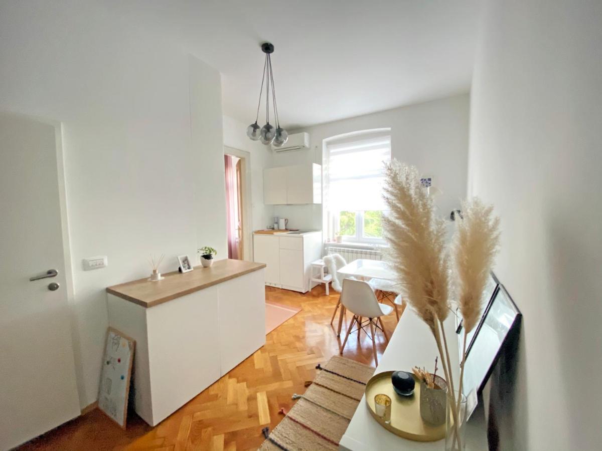 Bright Apartment 45M2 - Free Parking - Wifi Rijeka Exteriér fotografie