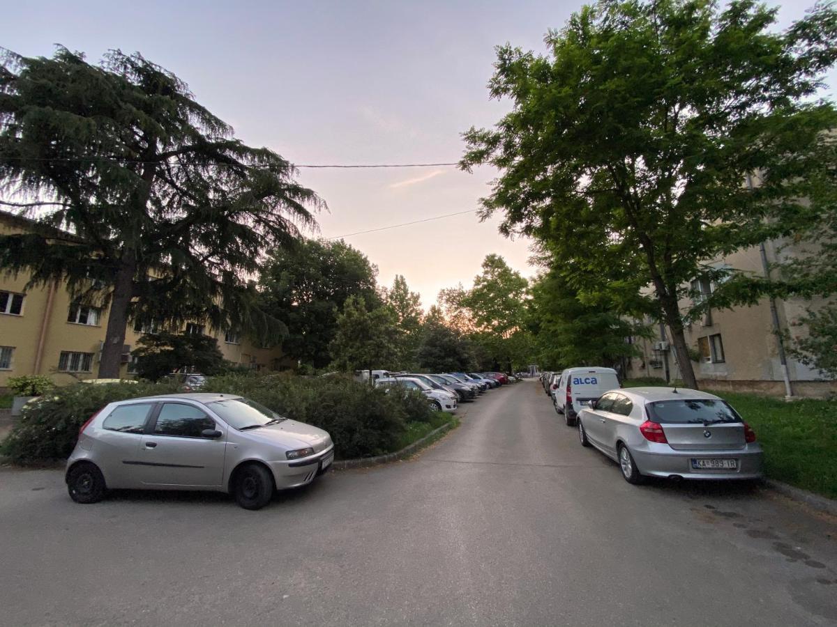 Bright Apartment 45M2 - Free Parking - Wifi Rijeka Exteriér fotografie